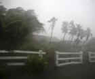 Tropikal fırtına